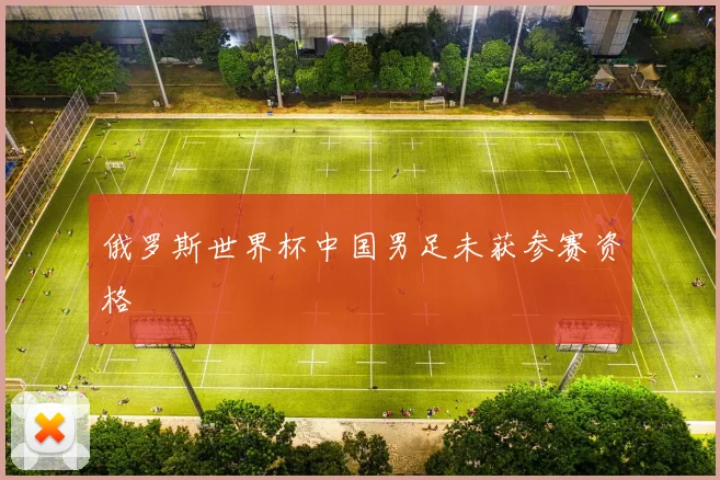 俄罗斯世界杯中国男足未获参赛资格