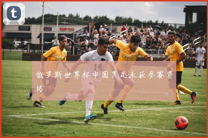 俄罗斯世界杯中国男足未获参赛资格