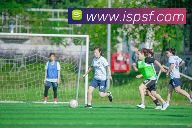 多媒体互动体验